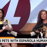 Fading Echoes: Country Legends’ Names Now Symbolize New Mexico’s Animal Welfare Crisis Fading Echoes: Country Legends’ Names Now Symbolize New Mexico’s Animal Welfare Crisis