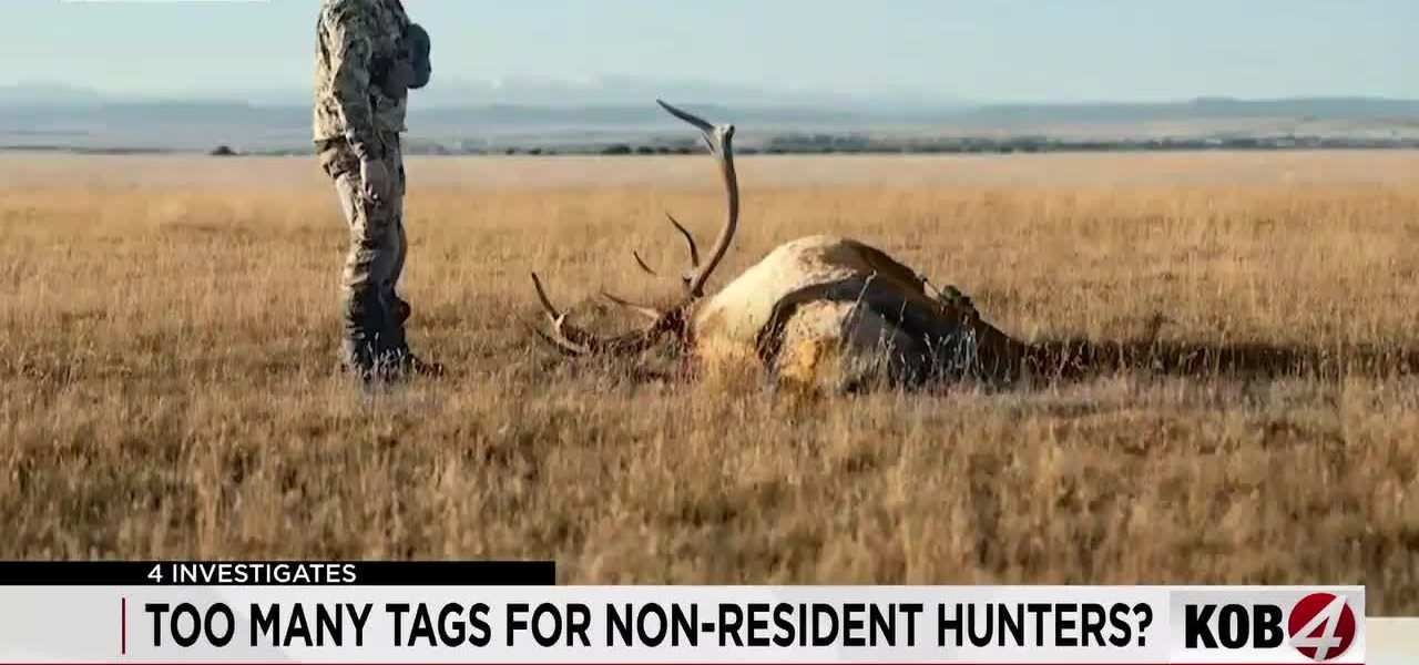 New Mexico’s Big Game Draw System Under Fire: Reforms Loom Amidst Hunter Access Debate New Mexico’s Big Game Draw System Under Fire: Reforms Loom Amidst Hunter Access Debate