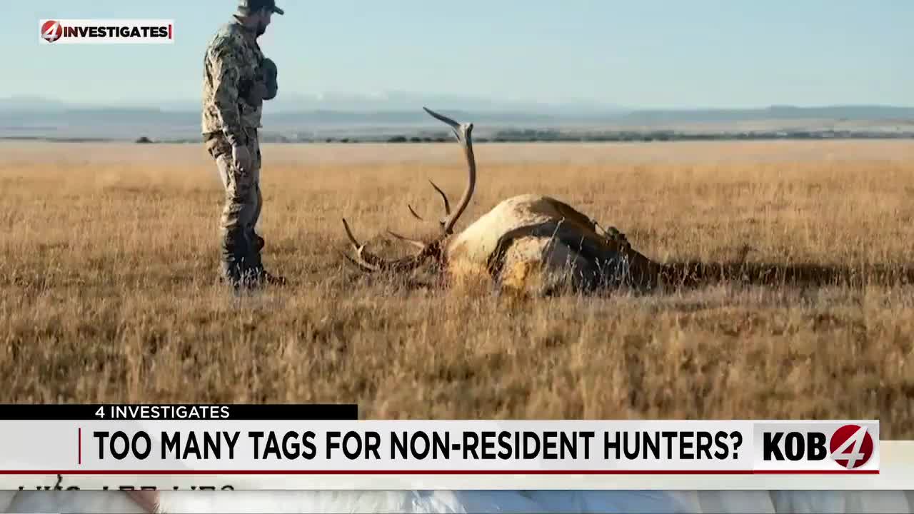 New Mexico’s Big Game Draw System Under Fire: Reforms Loom Amidst Hunter Access Debate New Mexico’s Big Game Draw System Under Fire: Reforms Loom Amidst Hunter Access Debate