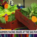 New Mexico’s Green Oasis Withers: Local Farmers Caught in a Pincer Movement of Drought and Soaring Energy Costs New Mexico’s Green Oasis Withers: Local Farmers Caught in a Pincer Movement of Drought and Soaring Energy Costs
