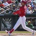 The Perplexing Payout: Baseball Stats, Algorithmic Failure, and the Mirage of Certainty The Perplexing Payout: Baseball Stats, Algorithmic Failure, and the Mirage of Certainty