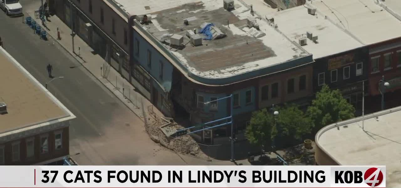 Albuquerque’s Crumbling Facade: A Feline Echo of Urban Neglect and Policy Blind Spots Albuquerque’s Crumbling Facade: A Feline Echo of Urban Neglect and Policy Blind Spots