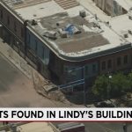 Albuquerque’s Crumbling Facade: A Feline Echo of Urban Neglect and Policy Blind Spots Albuquerque’s Crumbling Facade: A Feline Echo of Urban Neglect and Policy Blind Spots