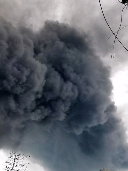 Black Sea’s Shadow: Ukraine’s Persistent Strikes Deepen Environmental Scars, Global Economic Jitters Black Sea’s Shadow: Ukraine’s Persistent Strikes Deepen Environmental Scars, Global Economic Jitters