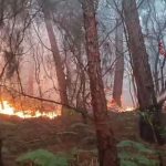 Tuscany’s Scorched Earth: A Sobering Postcard from Europe’s Climate Frontline Tuscany’s Scorched Earth: A Sobering Postcard from Europe’s Climate Frontline