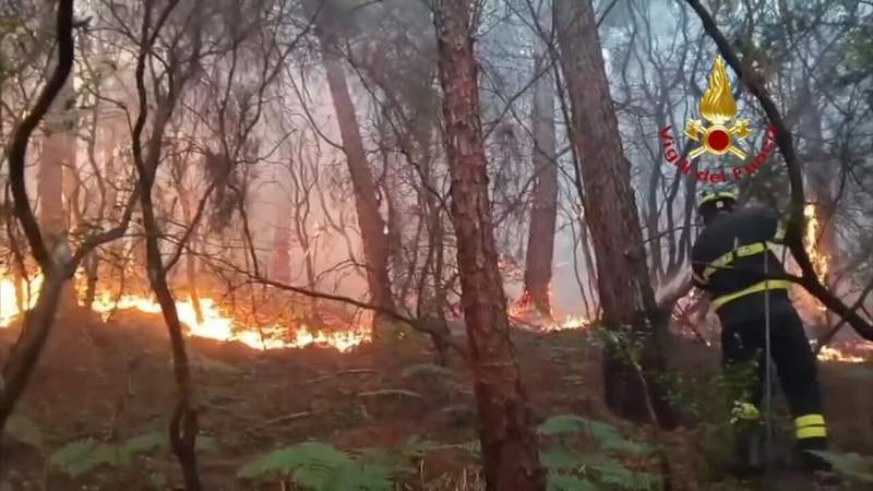Tuscany’s Scorched Earth: A Sobering Postcard from Europe’s Climate Frontline Tuscany’s Scorched Earth: A Sobering Postcard from Europe’s Climate Frontline