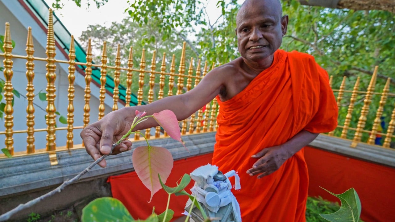 Colombo’s Moral Reckoning: High Monk’s Arrest Rips Through Sri Lanka’s Venerable Fabric Colombo’s Moral Reckoning: High Monk’s Arrest Rips Through Sri Lanka’s Venerable Fabric