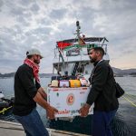 Deja Vu on the Mediterranean: Gaza Aid Flotilla Meets Inevitable End Deja Vu on the Mediterranean: Gaza Aid Flotilla Meets Inevitable End