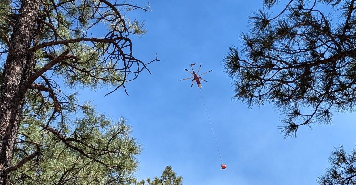 New Mexico’s Inferno: A Tragic Spark Unveils a Deeper Ecological Crisis New Mexico’s Inferno: A Tragic Spark Unveils a Deeper Ecological Crisis