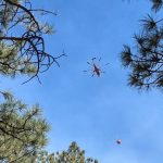 New Mexico’s Inferno: A Tragic Spark Unveils a Deeper Ecological Crisis New Mexico’s Inferno: A Tragic Spark Unveils a Deeper Ecological Crisis