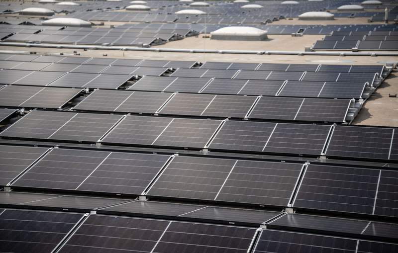Berlin’s Green Gambit Stalls: Solar Ambitions Grapple with Earthbound Realities