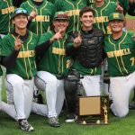 Michigan’s Diamond Dreams: A Deep Dive into High School Baseball’s Shifting Sands