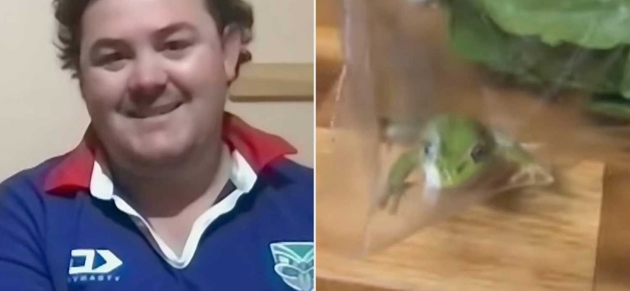 Amphibious Audits: When a Lettuce-Dwelling Amphibian Leaps into the Global Food Policy Debate Amphibious Audits: When a Lettuce-Dwelling Amphibian Leaps into the Global Food Policy Debate