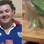 Amphibious Audits: When a Lettuce-Dwelling Amphibian Leaps into the Global Food Policy Debate