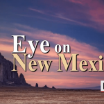 Shadow Games in the Land of Enchantment: New Mexico’s Democratic Primary Echoes Global Contests