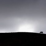 Europe’s Fragile Lifeline: Rhine Waters Surge, Granting a Fleeting Reprieve from Climate’s Grip Europe’s Fragile Lifeline: Rhine Waters Surge, Granting a Fleeting Reprieve from Climate’s Grip