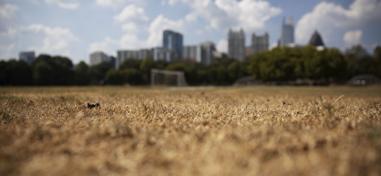 Digital Thirst: When Data Flows, But the Tap Runs Dry