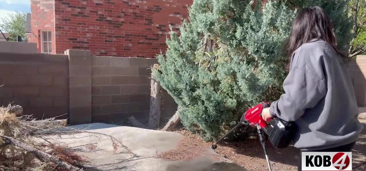 The Power Wash and the Poverty of Ownership: America’s Libraries Reimagine Resource Access The Power Wash and the Poverty of Ownership: America’s Libraries Reimagine Resource Access