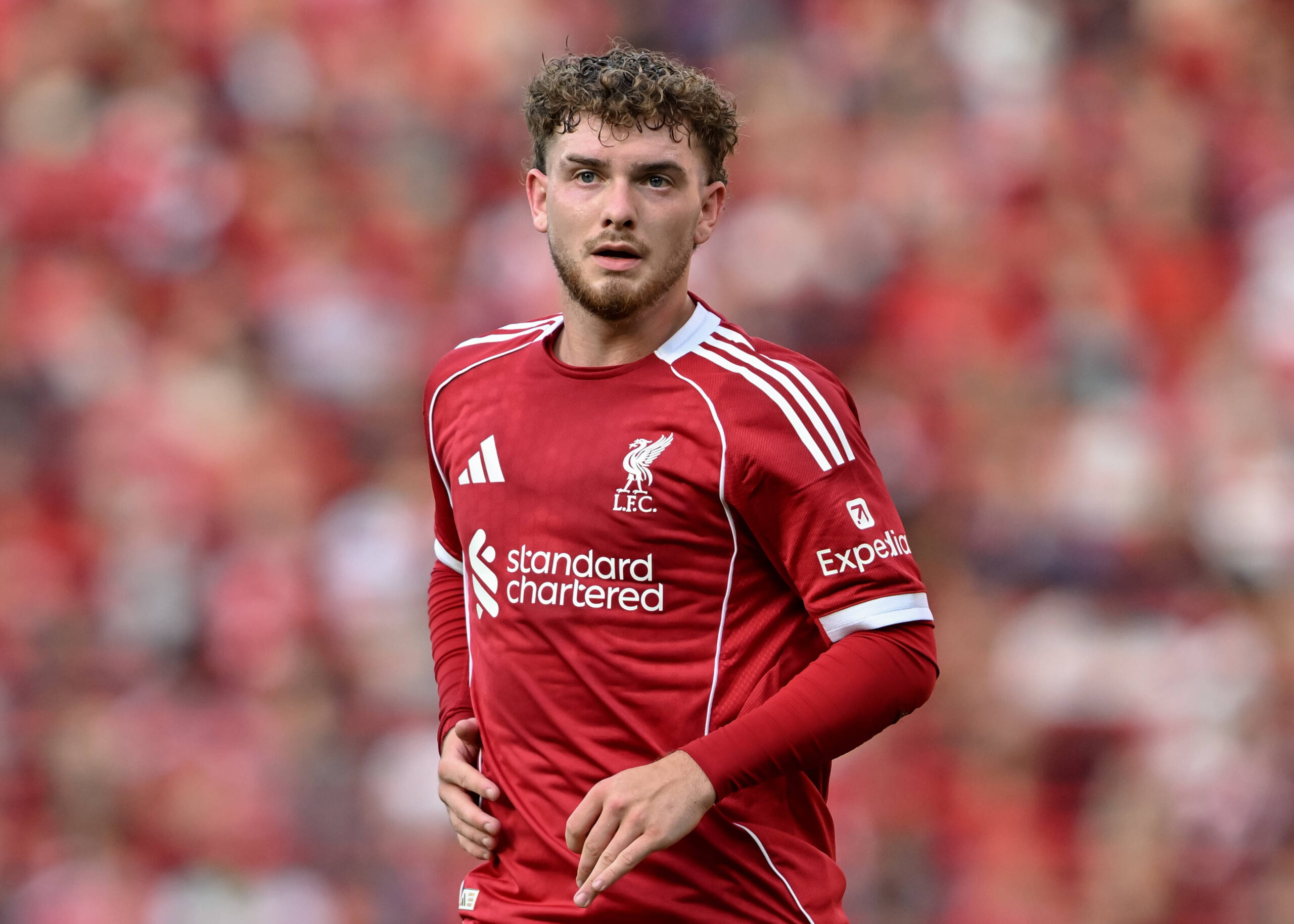 The €20 Million Question: Why Liverpool’s Forgotten Talent Could Ignite a Bundesliga Fire Sale The €20 Million Question: Why Liverpool’s Forgotten Talent Could Ignite a Bundesliga Fire Sale