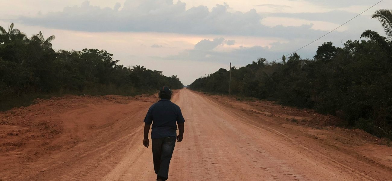 Asphalt Over Awe: Brazil’s Amazon Gamble Sparks Eco-Warrior’s Ire and Development Dreams