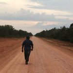 Asphalt Over Awe: Brazil’s Amazon Gamble Sparks Eco-Warrior’s Ire and Development Dreams