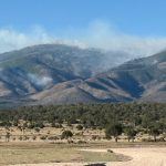 Inferno’s Eerie Whisper: New Mexico Blaze Tied to Deadly Plane Crash Sparks Mass Exodus