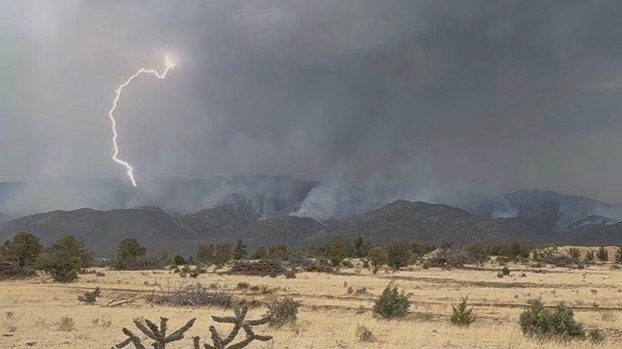 Inferno’s Slowing Breath: New Mexico’s Forest Closure and the Ghost of Scarcity