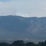 Ash and Irony: A Medical Flight’s Tragic End Rekindles the Wild Ash and Irony: A Medical Flight’s Tragic End Rekindles the Wild