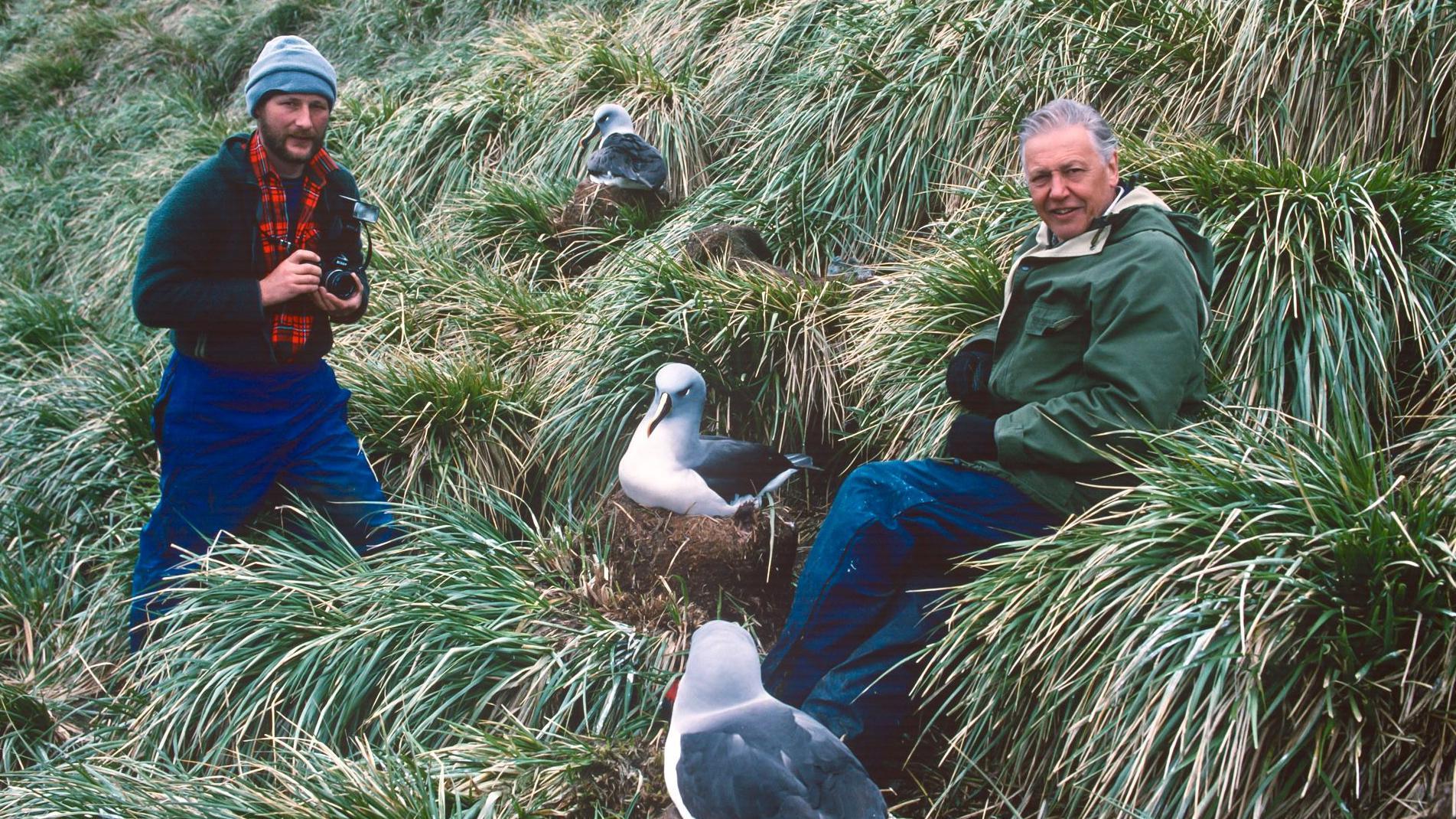 Attenborough’s Quiet War: Beyond the Lens, a Planet’s Fate Hangs