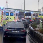 Rats, Ships, and a Global Scare: French Hantavirus Case Rattles Health Authorities