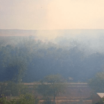 Rio Grande’s Embrace Under Threat: Albuquerque’s Bosque Fire Rekindles Old Debates on Climate, Commerce, and Control Rio Grande’s Embrace Under Threat: Albuquerque’s Bosque Fire Rekindles Old Debates on Climate, Commerce, and Control
