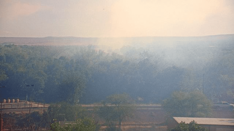 Rio Grande’s Embrace Under Threat: Albuquerque’s Bosque Fire Rekindles Old Debates on Climate, Commerce, and Control