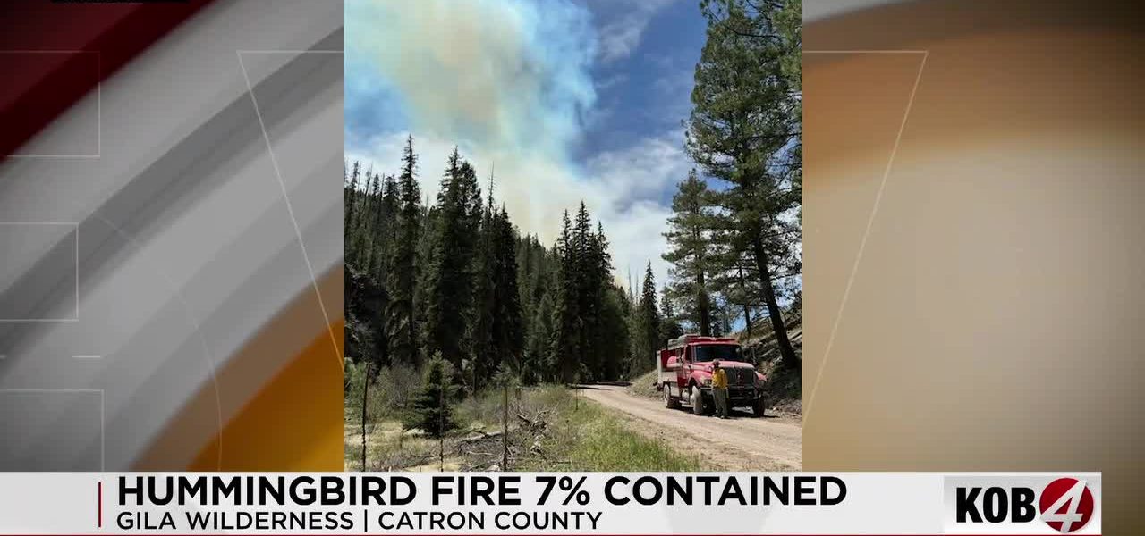 Gila’s Fiery Grip: Hummingbird Blaze Ignites Policy Questions in New Mexico’s Wild Heart Gila’s Fiery Grip: Hummingbird Blaze Ignites Policy Questions in New Mexico’s Wild Heart