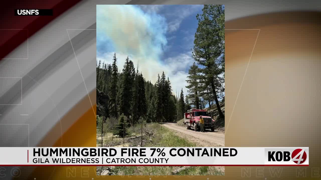 Gila’s Fiery Grip: Hummingbird Blaze Ignites Policy Questions in New Mexico’s Wild Heart