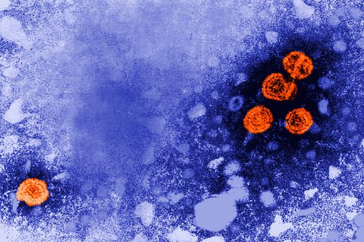 The Hepatitis Endgame? A ‘Functional Cure’ Shifts Global Health Calculus The Hepatitis Endgame? A ‘Functional Cure’ Shifts Global Health Calculus