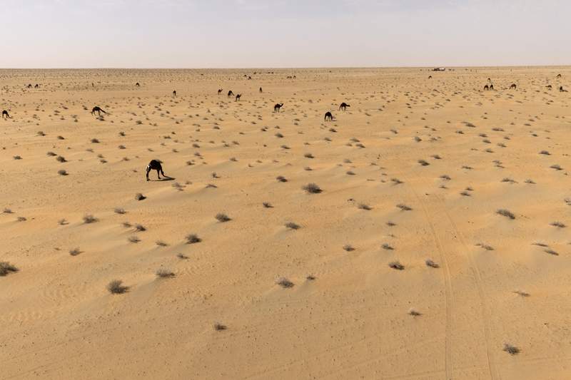 Baghdad’s Shadow Play: Secret Base Rumors Rock a Nation Already on the Brink