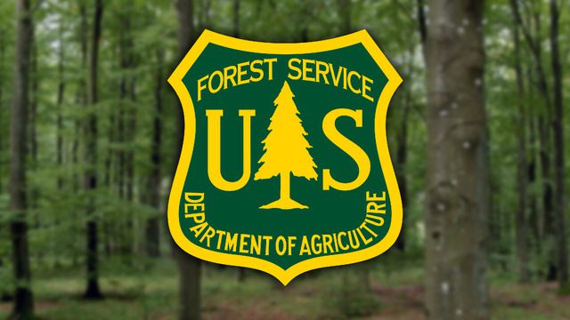 As Aridity Grips Southwest, New Mexico’s Forests Become Tinderboxes — Again As Aridity Grips Southwest, New Mexico’s Forests Become Tinderboxes — Again