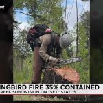 As ‘Hummingbird Fire’ Retreats, New Mexico Grapples with the Unseen Scars of a Fiery Future