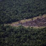 Greenwashing or Greenlight? Brazil Stalls Deforestation Loan Ban Amidst Amazon Crunch Greenwashing or Greenlight? Brazil Stalls Deforestation Loan Ban Amidst Amazon Crunch