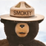 Smokey Bear’s Enduring Whisper: A Local Celebration Against a Global Inferno