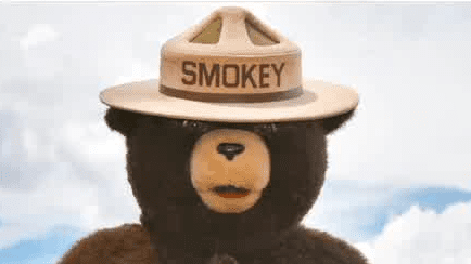 The Unflappable Icon: Smokey Bear’s Half-Century Reign in a Warming World The Unflappable Icon: Smokey Bear’s Half-Century Reign in a Warming World