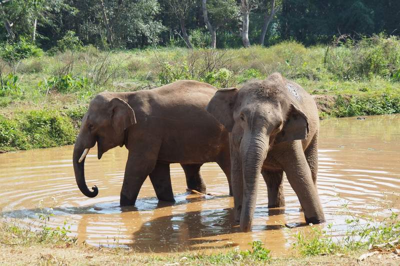 Thai Junta’s Unsmiling Welcome: Tourist Visas Get a Shorter Leash Thai Junta’s Unsmiling Welcome: Tourist Visas Get a Shorter Leash
