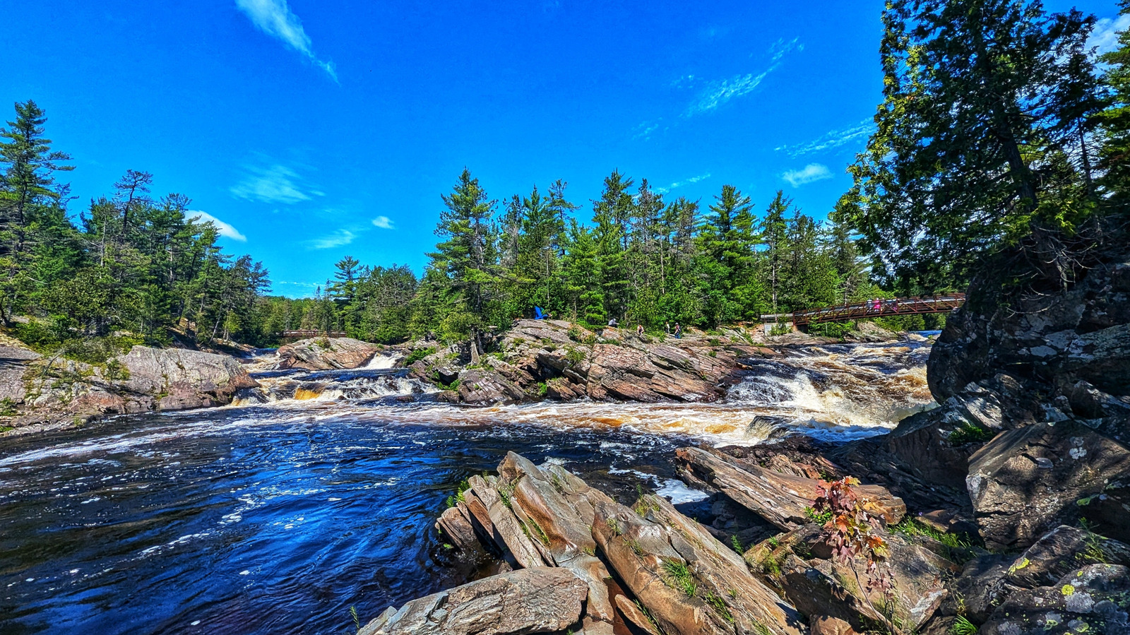 Ontario’s Verdant Crown Jewels: A Quiet Battleground for Policy, People, and Planet Ontario’s Verdant Crown Jewels: A Quiet Battleground for Policy, People, and Planet
