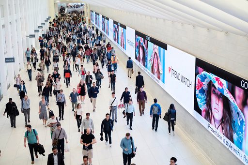 America’s Economic Divide: Young Suffer Job Jitters While Elders Stay Glum-Free