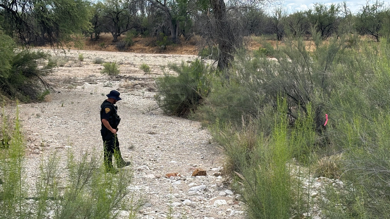 Millennia of Mystery: Ancient Remains Upend Modern Missing Person Search Near Nancy Guthrie Site