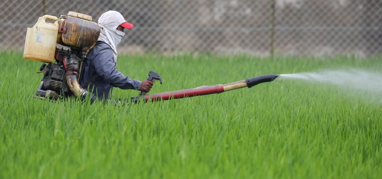 Asia’s Looming Hunger: Hormuz Crisis Threatens Billions with Food Insecurity