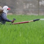 Asia’s Looming Hunger: Hormuz Crisis Threatens Billions with Food Insecurity Asia’s Looming Hunger: Hormuz Crisis Threatens Billions with Food Insecurity