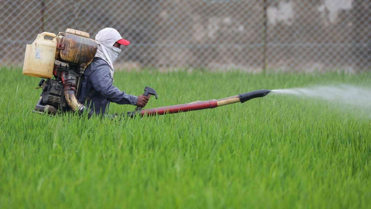 Asia’s Looming Hunger: Hormuz Crisis Threatens Billions with Food Insecurity Asia’s Looming Hunger: Hormuz Crisis Threatens Billions with Food Insecurity