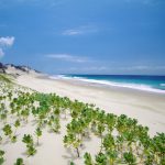UNESCO’s Global Canvas: New Geoparks Paint a Complex Picture of Conservation and Capital