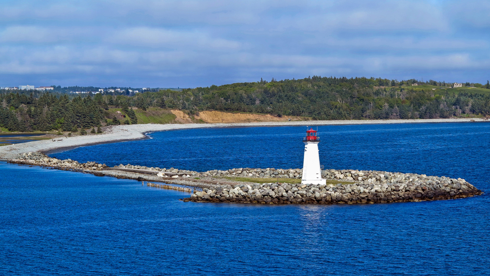 Canada’s Accidental Eden: A Policy Paradox Forged in Neglect